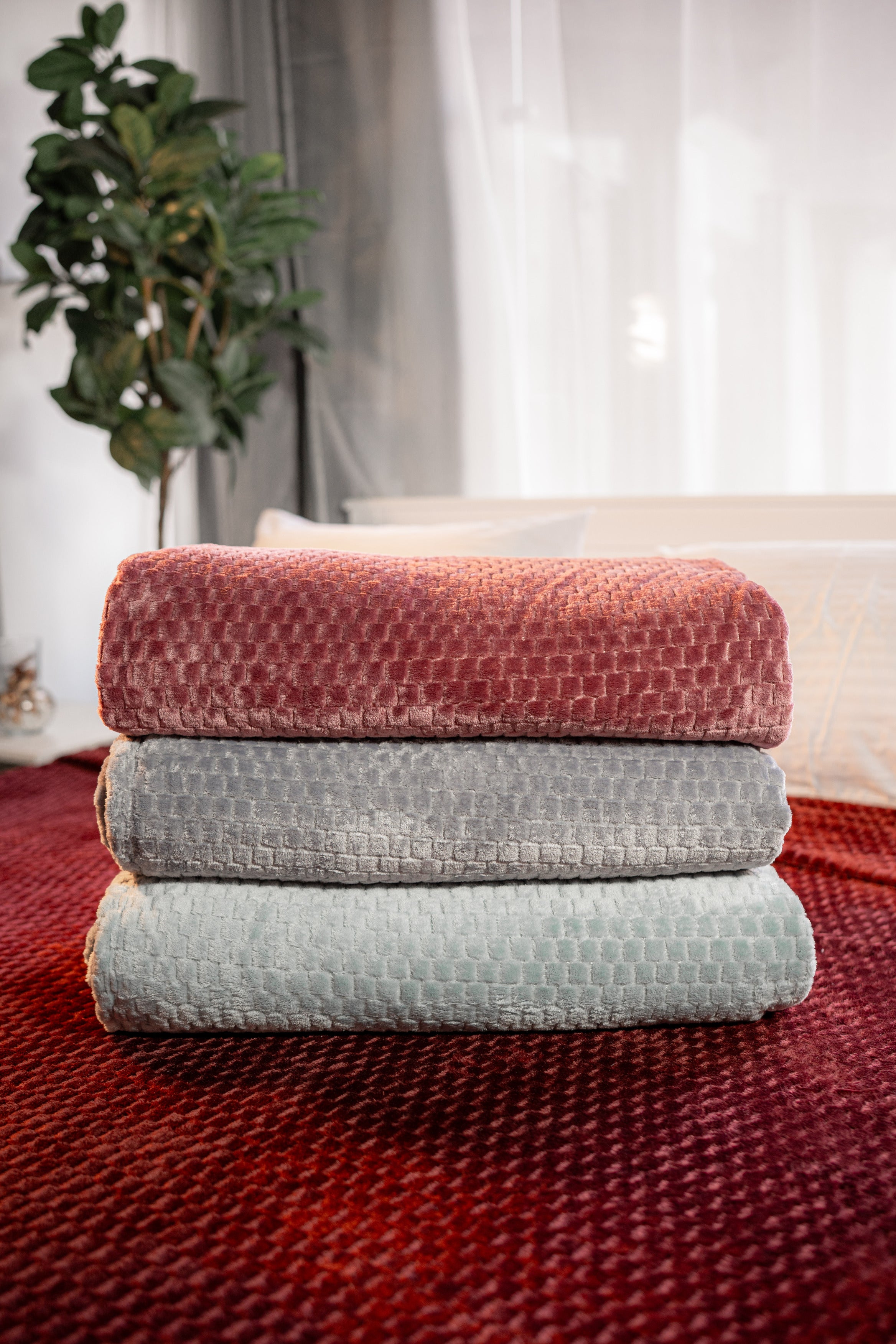 Offer 2 light blankets bundle