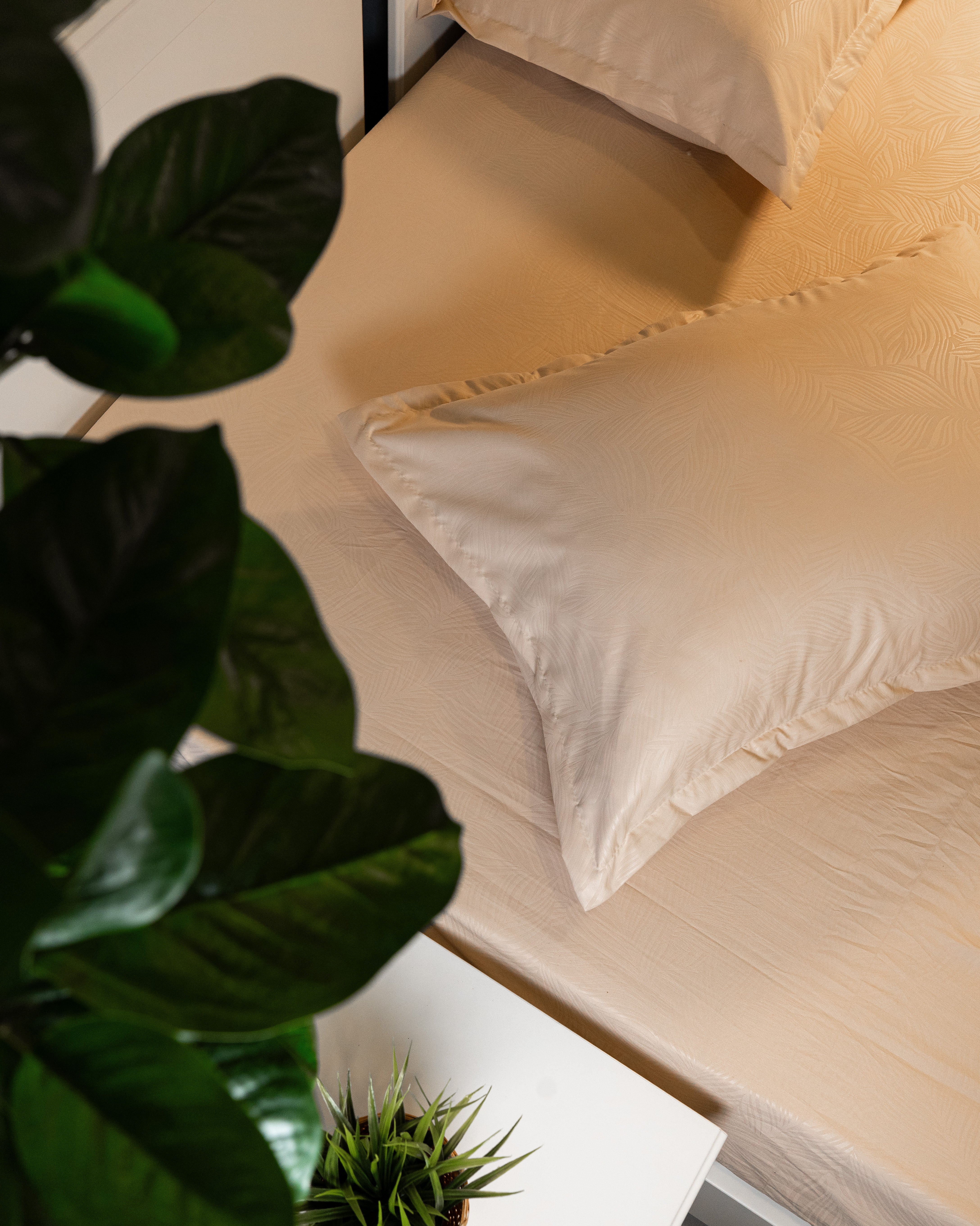 Jacquared Bed Sheet Set 3pcs